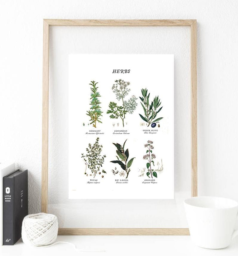 Set of 3 Botanical Print Art Digital — Glacelis