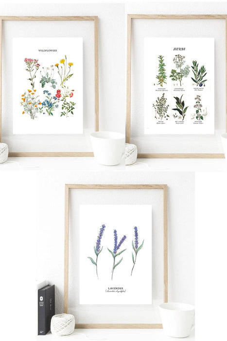 Set of 3 Botanical Print Art - These stunning botanical art prints are the perfect decorative gift for you or your loved one. Any plant fanatics would cherish these one of a kind illustrations as a gift